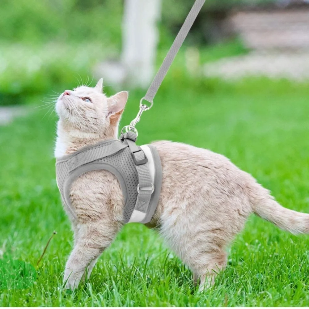 Gray Reflective Cat No Escape Harness